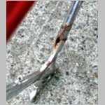 rusty_seatstay.jpg