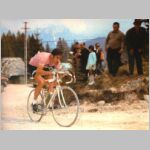 Eddy_in_pink.jpg