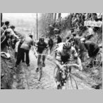 Godefroot-Moser_Koppenberg.jpg
