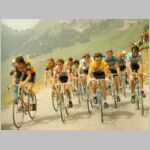 Hinault.jpg