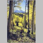 Fall_scene_MTB.jpg